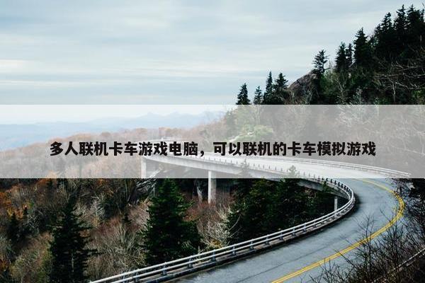 多人联机卡车游戏电脑，可以联机的卡车模拟游戏