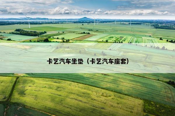 卡艺汽车坐垫（卡艺汽车座套）