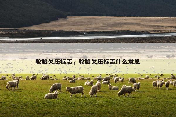 轮胎欠压标志，轮胎欠压标志什么意思