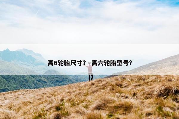 高6轮胎尺寸？ 高六轮胎型号？