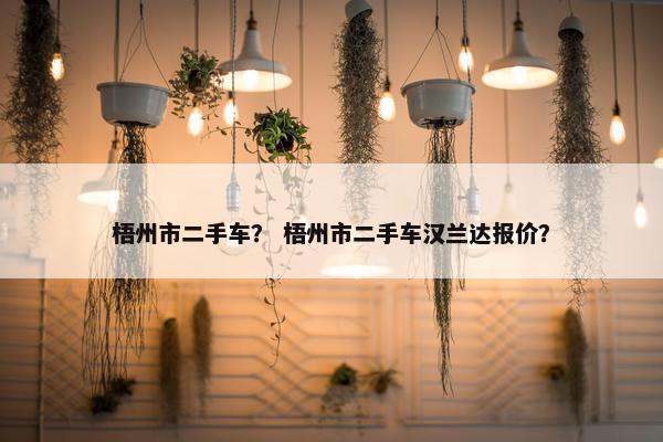 梧州市二手车？ 梧州市二手车汉兰达报价？