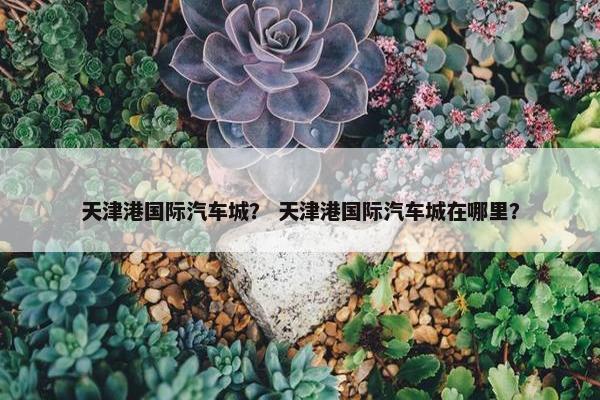 天津港国际汽车城？ 天津港国际汽车城在哪里？