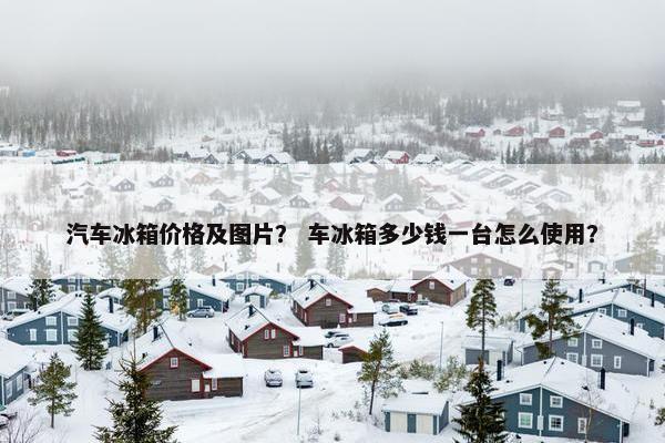 汽车冰箱价格及图片？ 车冰箱多少钱一台怎么使用？
