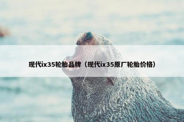 现代ix35轮胎品牌（现代ix35原厂轮胎价格）