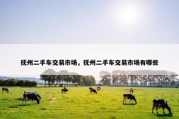 抚州二手车交易市场，抚州二手车交易市场有哪些