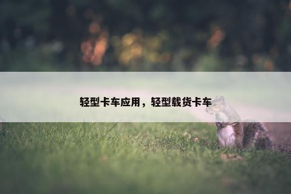 轻型卡车应用，轻型载货卡车