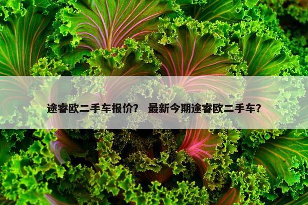 途睿欧二手车报价？ 最新今期途睿欧二手车？