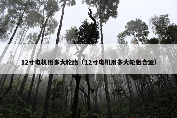12寸电机用多大轮胎（12寸电机用多大轮胎合适）