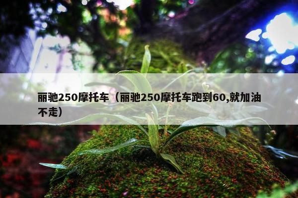 丽驰250摩托车（丽驰250摩托车跑到60,就加油不走）