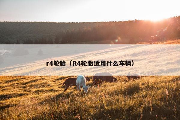 r4轮胎（R4轮胎适用什么车辆）