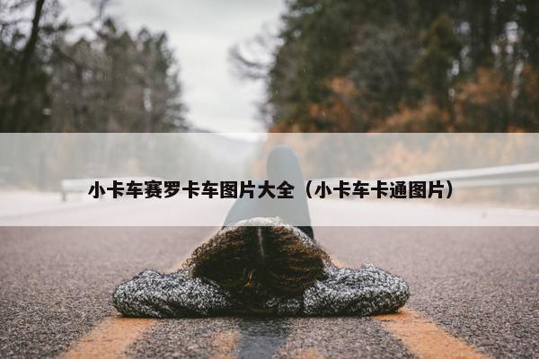 小卡车赛罗卡车图片大全（小卡车卡通图片）