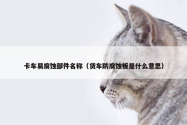 卡车易腐蚀部件名称（货车防腐蚀板是什么意思）