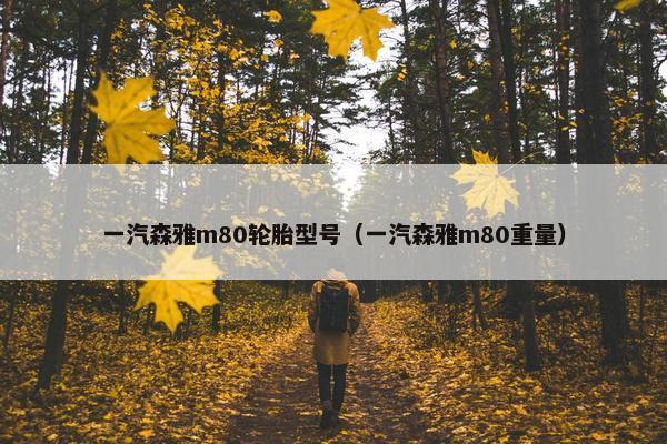 一汽森雅m80轮胎型号（一汽森雅m80重量）