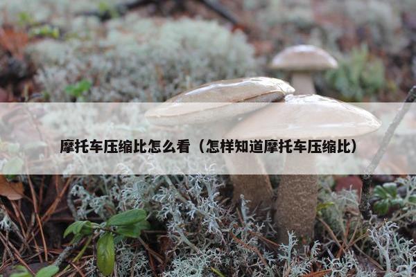 摩托车压缩比怎么看（怎样知道摩托车压缩比）
