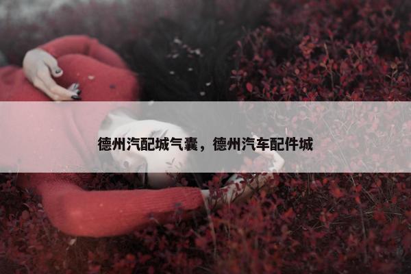 德州汽配城气囊，德州汽车配件城