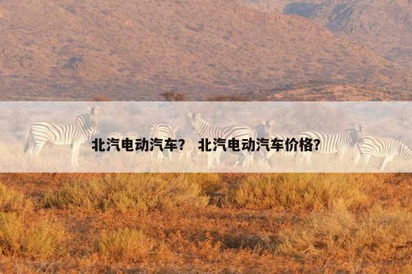 北汽电动汽车？ 北汽电动汽车价格？
