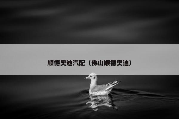 顺德奥迪汽配（佛山顺德奥迪）