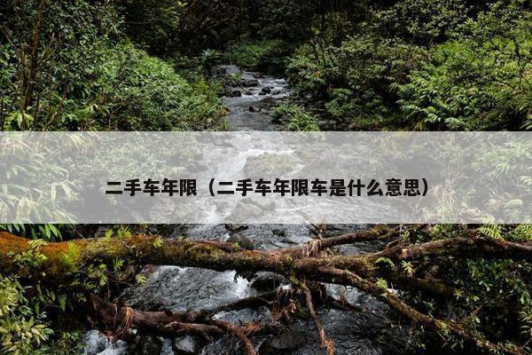 二手车年限（二手车年限车是什么意思）