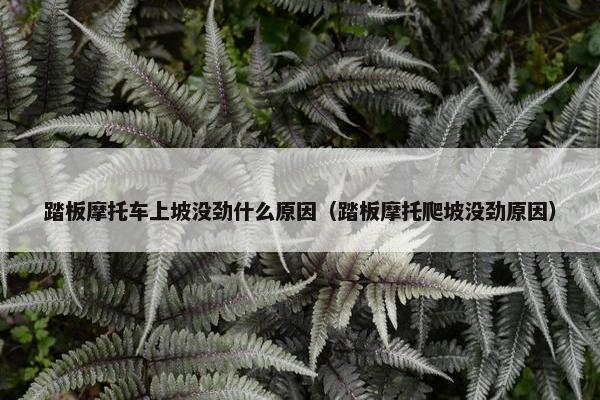 踏板摩托车上坡没劲什么原因（踏板摩托爬坡没劲原因）