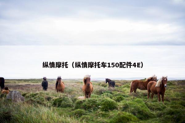 纵情摩托（纵情摩托车150配件4E）