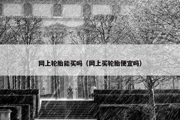 网上轮胎能买吗（网上买轮胎便宜吗）