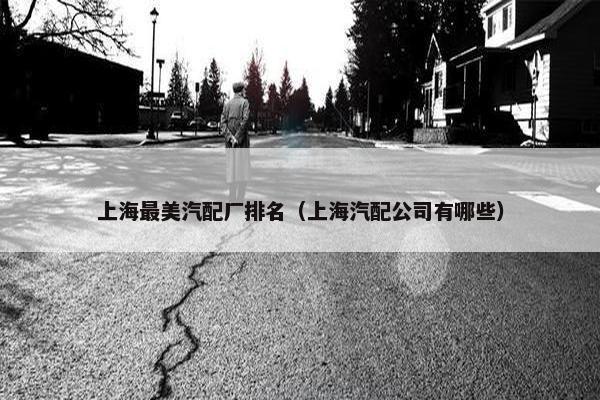 上海最美汽配厂排名（上海汽配公司有哪些）