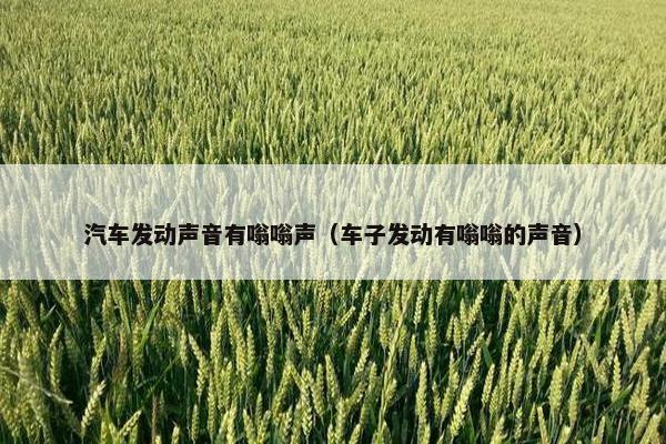 汽车发动声音有嗡嗡声（车子发动有嗡嗡的声音）