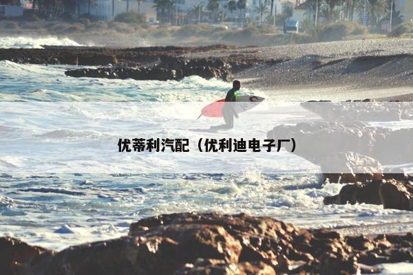 优蒂利汽配（优利迪电子厂）