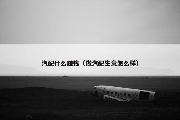 汽配什么赚钱（做汽配生意怎么样）