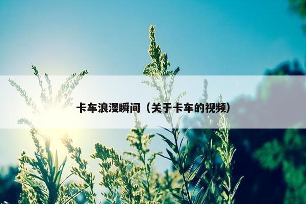 卡车浪漫瞬间（关于卡车的视频）