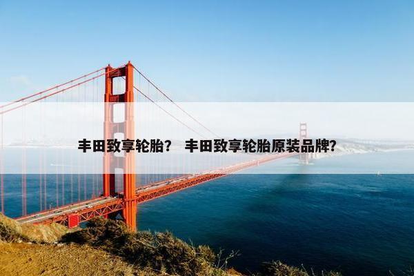 丰田致享轮胎？ 丰田致享轮胎原装品牌？