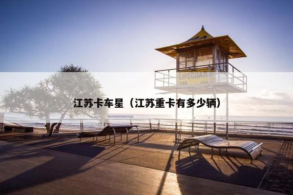 江苏卡车星（江苏重卡有多少辆）