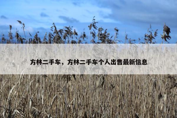 方林二手车，方林二手车个人出售最新信息