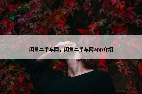 闲鱼二手车网，闲鱼二手车网app介绍
