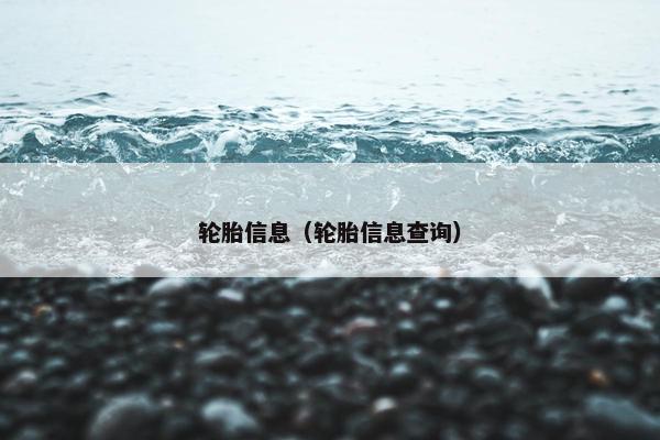 轮胎信息（轮胎信息查询）