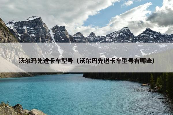 沃尔玛先进卡车型号（沃尔玛先进卡车型号有哪些）
