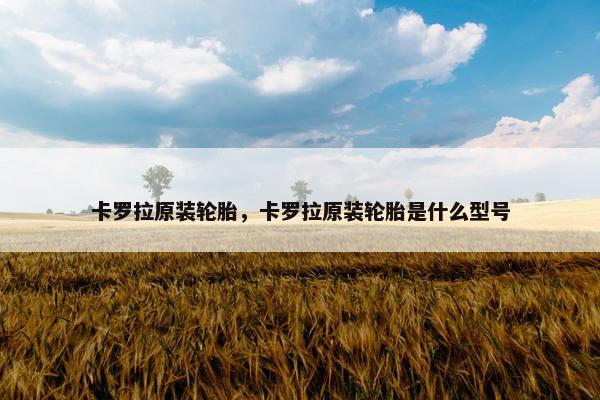 卡罗拉原装轮胎，卡罗拉原装轮胎是什么型号