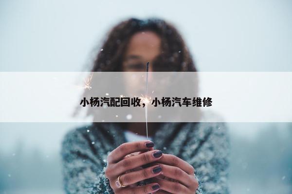 小杨汽配回收，小杨汽车维修