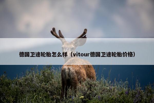 德国卫途轮胎怎么样（vitour德国卫途轮胎价格）