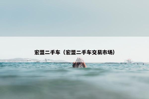 宏盟二手车（宏盟二手车交易市场）