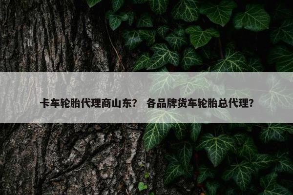 卡车轮胎代理商山东？ 各品牌货车轮胎总代理？