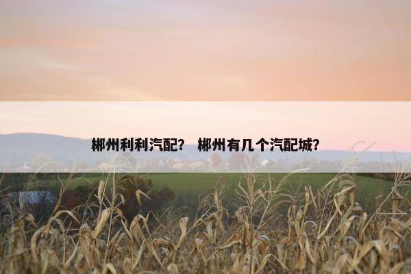 郴州利利汽配？ 郴州有几个汽配城？