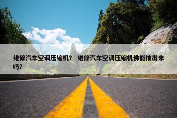 维修汽车空调压缩机？ 维修汽车空调压缩机佛能抽出来吗？