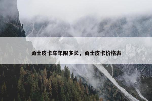 勇士皮卡车年限多长，勇士皮卡价格表