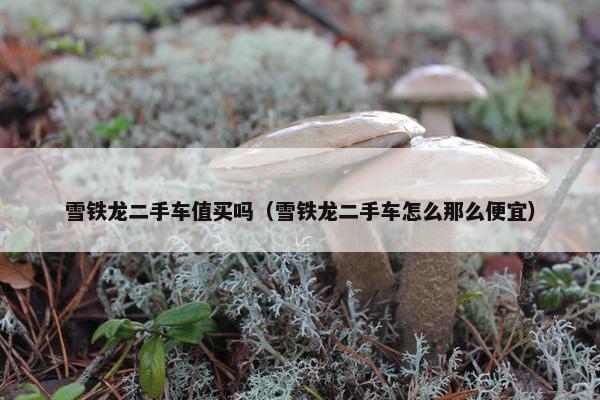 雪铁龙二手车值买吗（雪铁龙二手车怎么那么便宜）