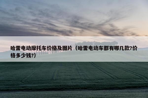 哈雷电动摩托车价格及图片（哈雷电动车都有哪几款?价格多少钱?）
