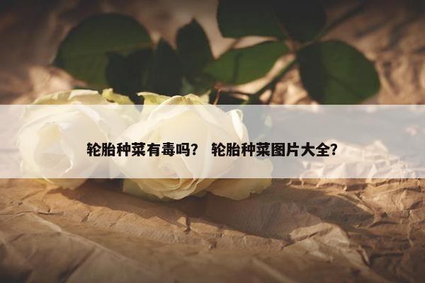 轮胎种菜有毒吗？ 轮胎种菜图片大全？