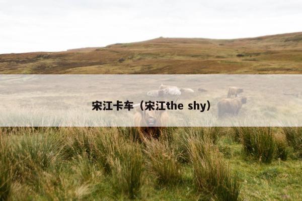 宋江卡车（宋江the shy）