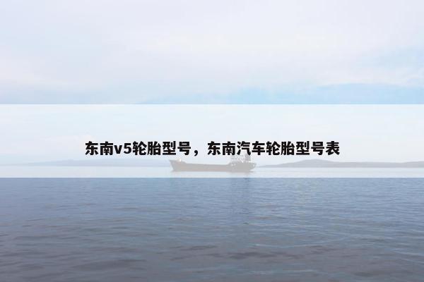 东南v5轮胎型号，东南汽车轮胎型号表