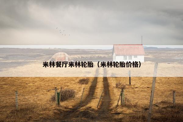 米林餐厅米林轮胎（米林轮胎价格）